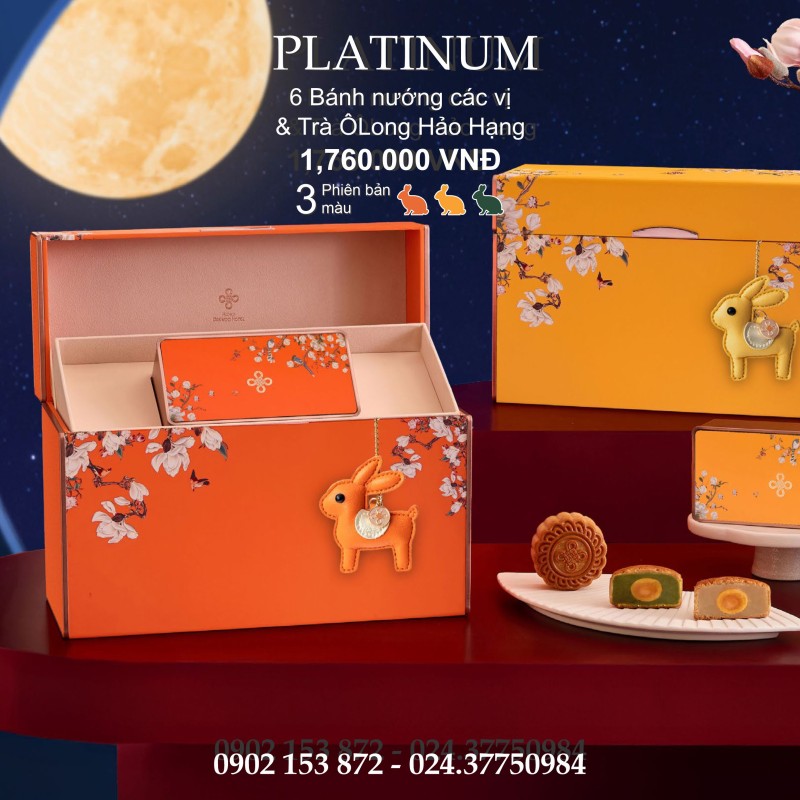 Bánh trung thu Daewoo Hộp 6 Bánh Và Trà- Platinum